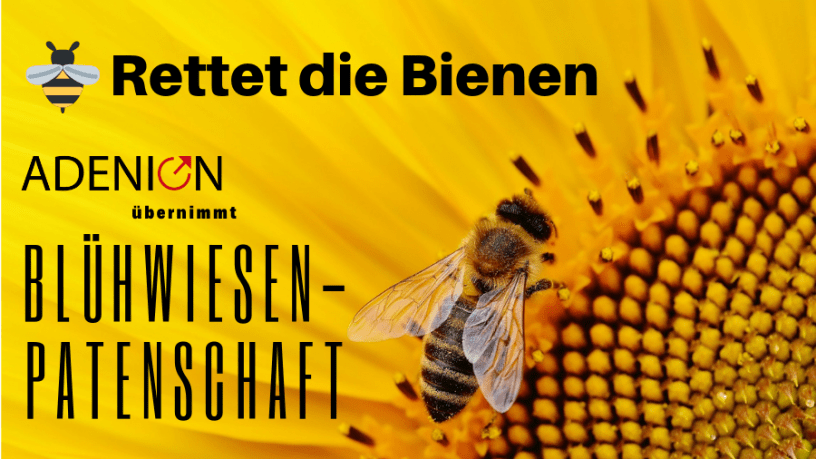 Rettet die Bienen - Adenion übernimmt Blühwiesen-Patenschaft
